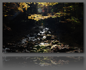 Click for high resolution photo